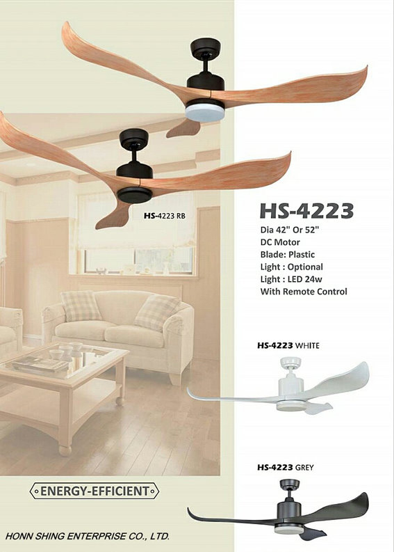 Ceiling Fan Light